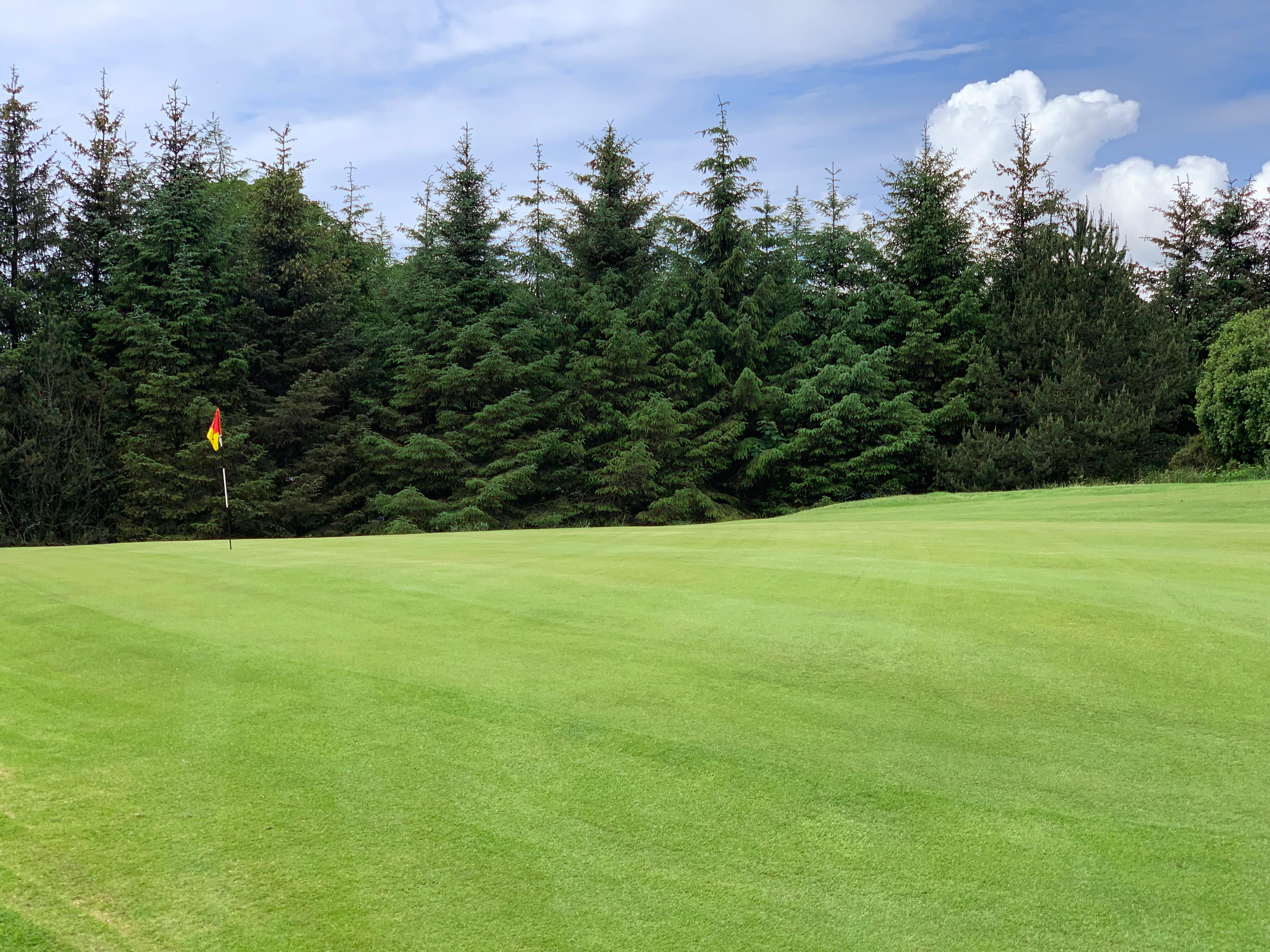 Hole 1 — view of the green
